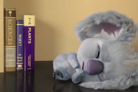 Назад у хащі