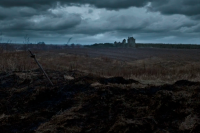 Максим Оса та золото Песиголовця