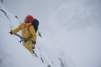 Горная лихорадка