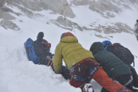 Горная лихорадка