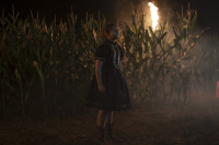 Дети кукурузы