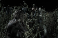 Дети кукурузы