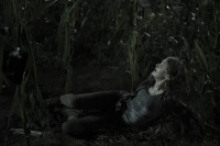 Дети кукурузы