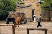 Обережно, кінь