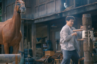 Обережно, кінь