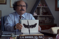 Цнотливі самогубиці