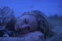 Цнотливі самогубиці