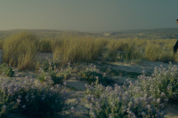 Репродукція майбутнього