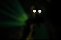 П'ять ночей у Фредді