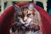 Кіт & Пес: Шалені пригоди