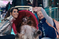 Кіт & Пес: Шалені пригоди