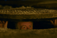 Кіт & Пес: Шалені пригоди