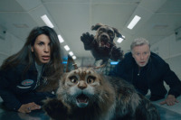 Кіт & Пес: Шалені пригоди