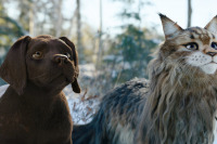 Кіт & Пес: Шалені пригоди