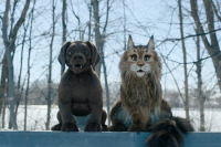 Кіт & Пес: Шалені пригоди