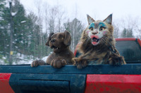 Кіт & Пес: Шалені пригоди