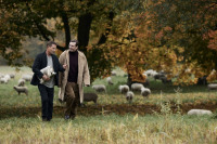 Друзі назавжди