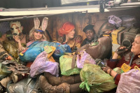 Бордерлендс