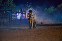 Талановитий містер Пес