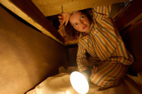 Талановитий містер Пес