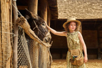 Талановитий містер Пес