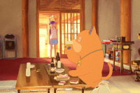 Кот-призрак Андзу