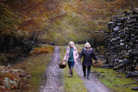 З приходом осені