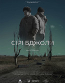 Серые пчелы