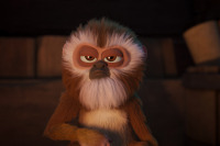 Пірати семи морів