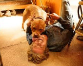 Фільми, що прославили чотирилапих акторів