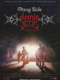Стрей Кідс: Відчуй Домінейт