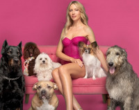 Українські комедії про кохання, які врятують від нудьги