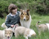 Культові фільми, які доведуть вас до сліз