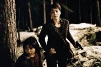 Братство камня