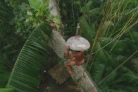 Великий матч