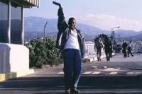 Бриллиантовый полицейский