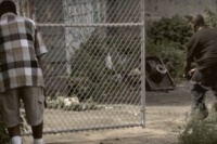 Лють і дисципліна