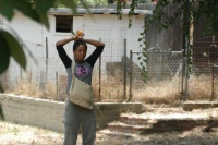 Девять жизней