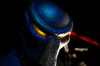 Чужие против Хищника: реквием