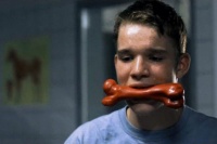 Муравьи в штанах