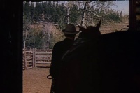 Мій друг Фліка