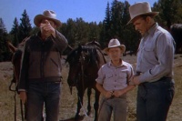 Мій друг Фліка