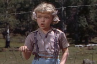 Мій друг Фліка