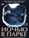 Вночі в парку