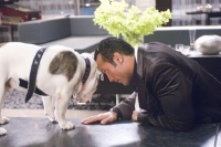 План на игру