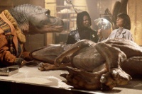 Теодор Рекс