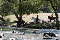Бандитки