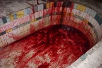 С.С.Д.: Смерть Советским Детям