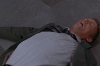 Чистильник