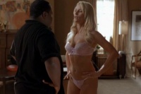 Чистильник